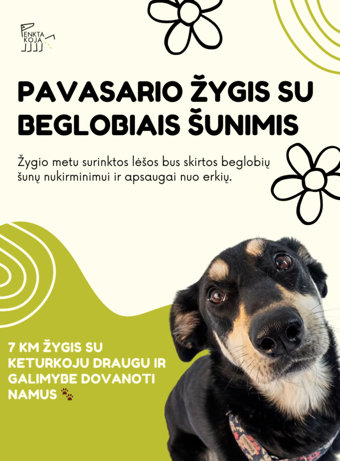 Pavasario žygis su beglobiais šunimis