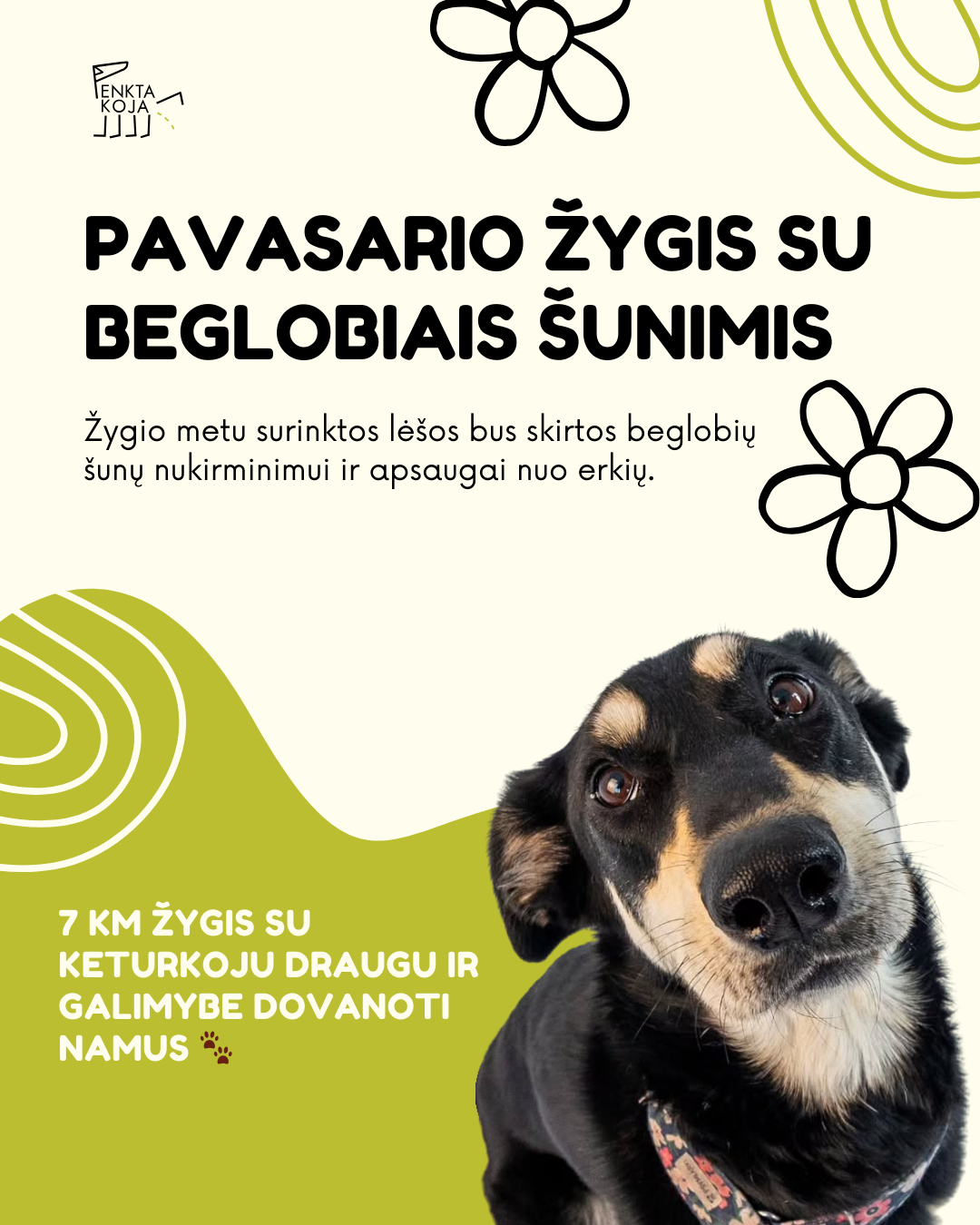 Pavasario žygis su beglobiais šunimis