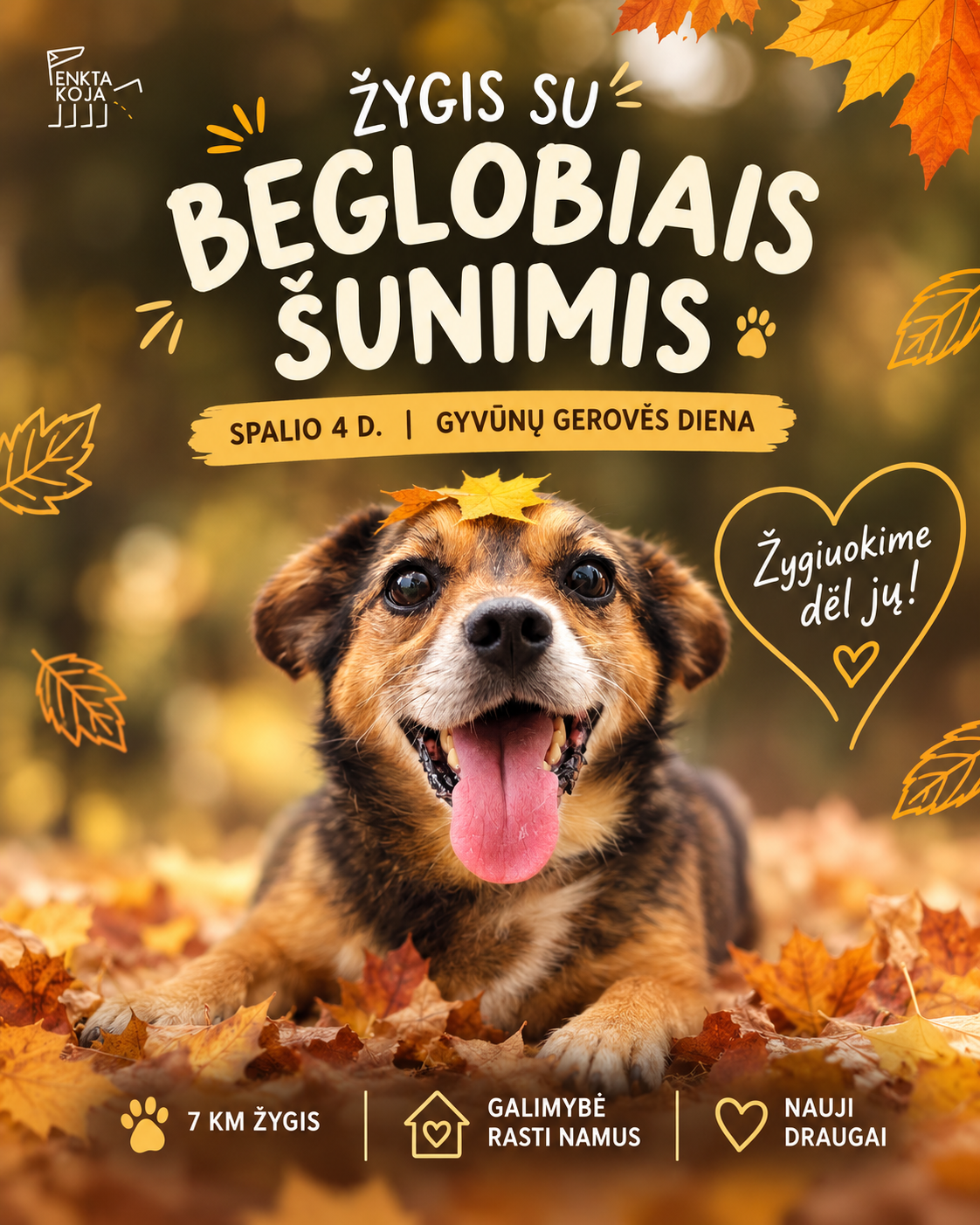 Gyvūnų gerovės žygis su beglobiais šunimis - spalio 4d.